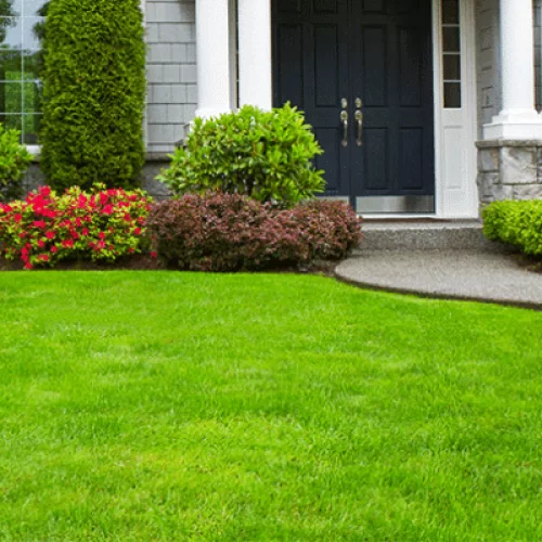 landscaping in Nigeria - How Much Does Landscaping Cost in Nigeria